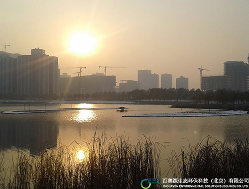 河南鄭東新區(qū)龍子湖水生態(tài)修復(fù)項(xiàng)目